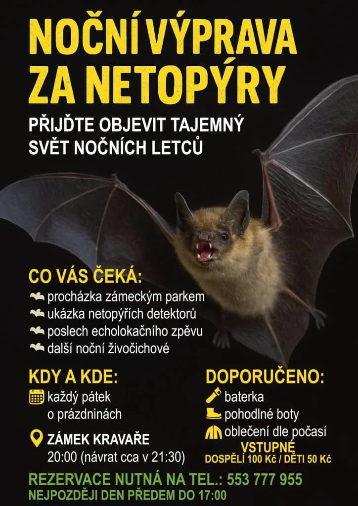 NOČNÍ VÝPRAVA ZA NETOPÝRY