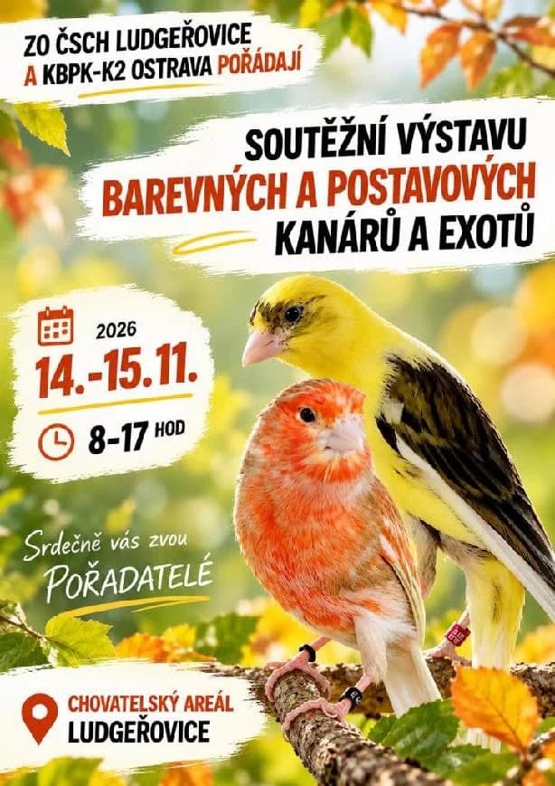 Soutěžní výstava barevných a postavových kanárů a exotů
