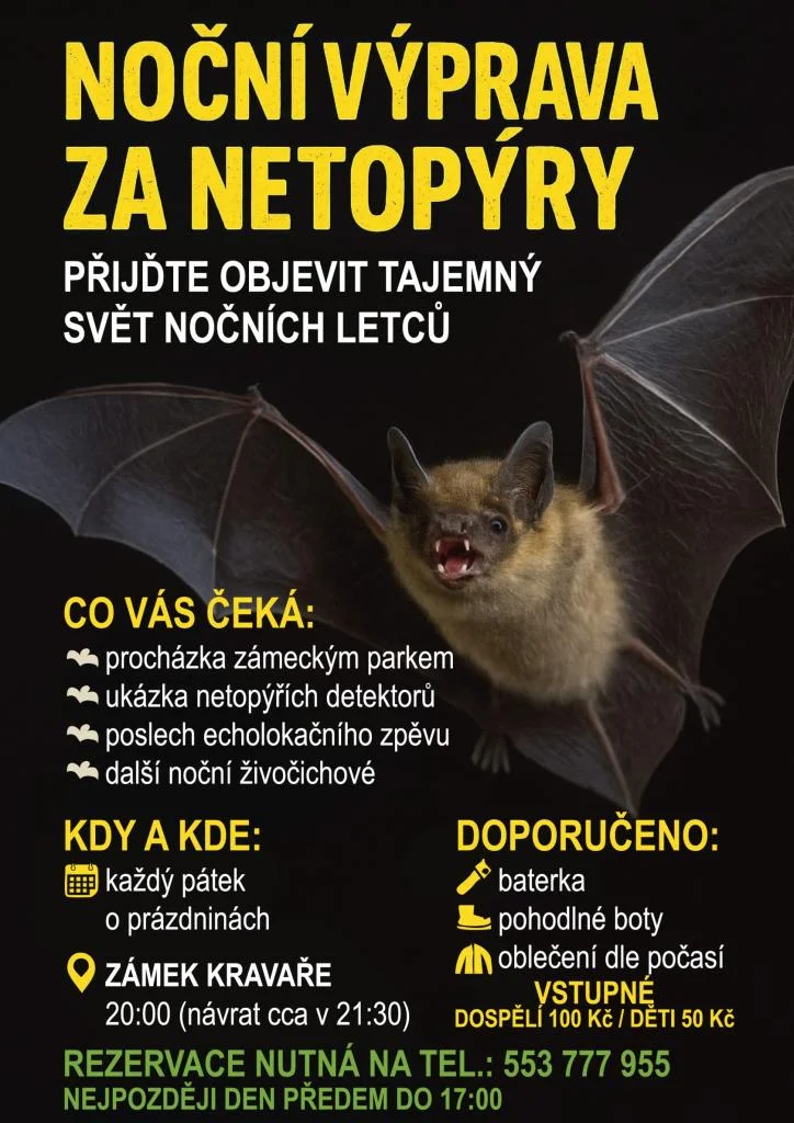 Fotka 1